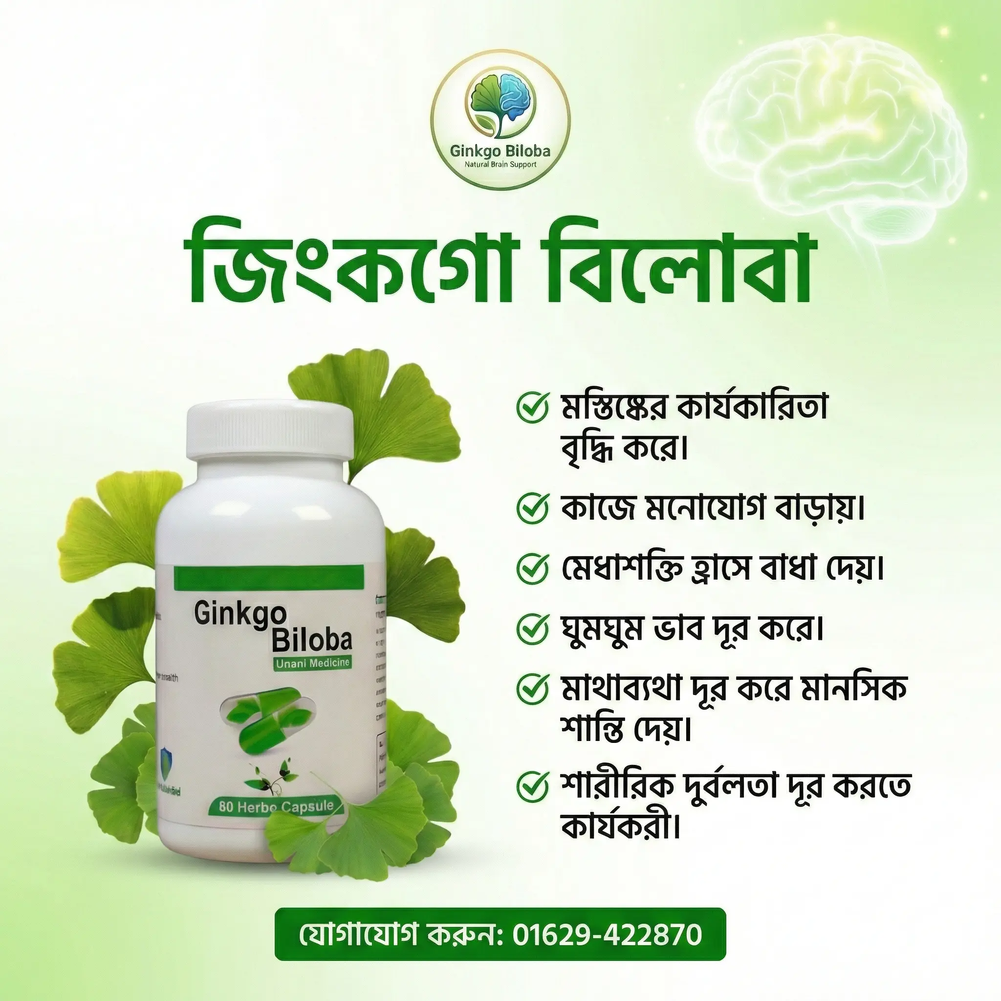 জিংকগো বিলোবা